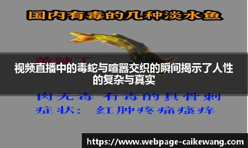 彩客网