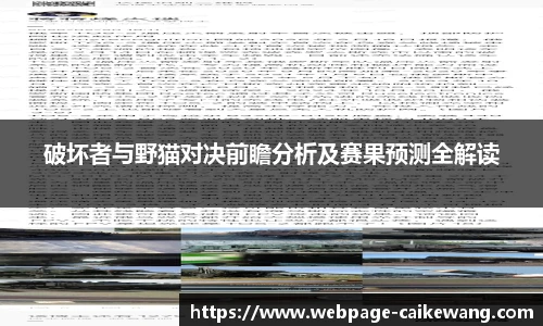 彩客网官网
