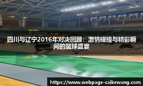 四川与辽宁2016年对决回顾：激情碰撞与精彩瞬间的篮球盛宴